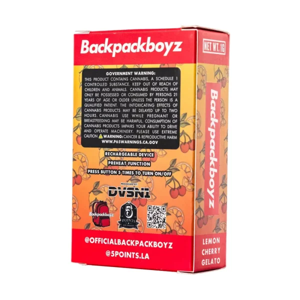 Backpack Boyz 1G Box Reverse