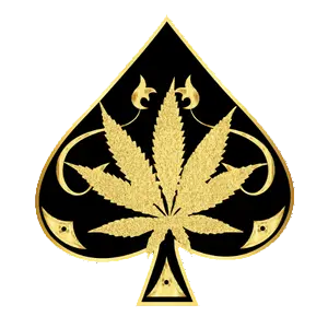 Ace Ultra Premium