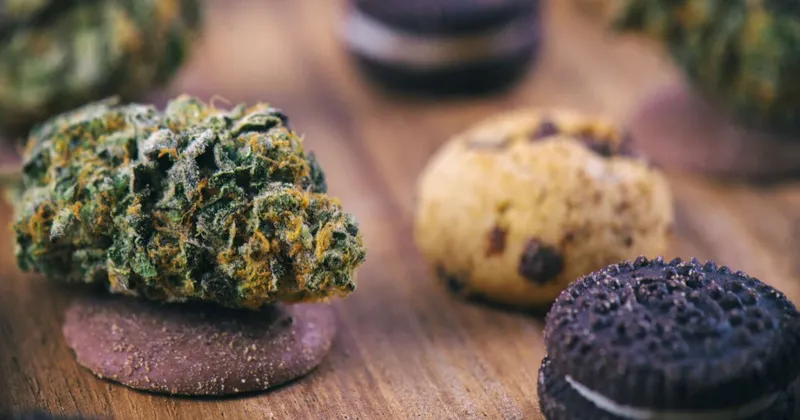 edibles de cannabis