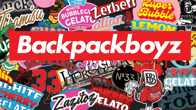backpack boyz review