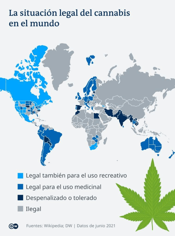 legalidad mota internacional