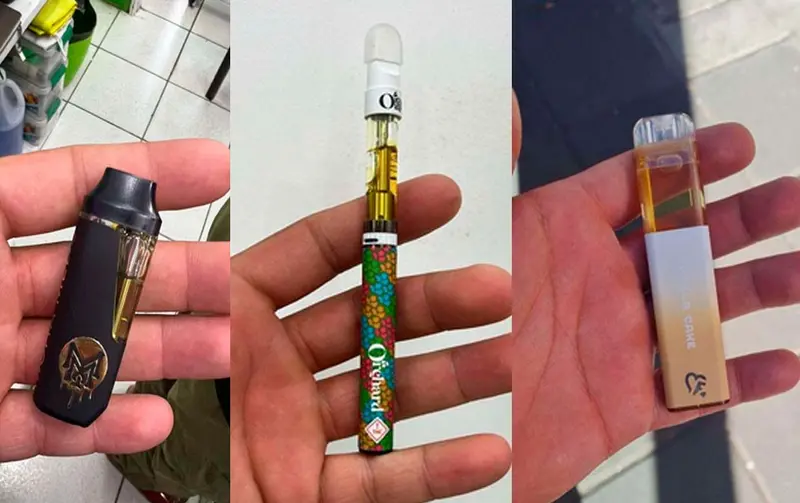 modelos de pluma de wax