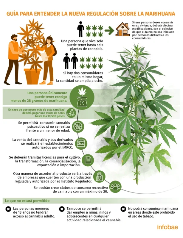 Regulación de la marihuana en México