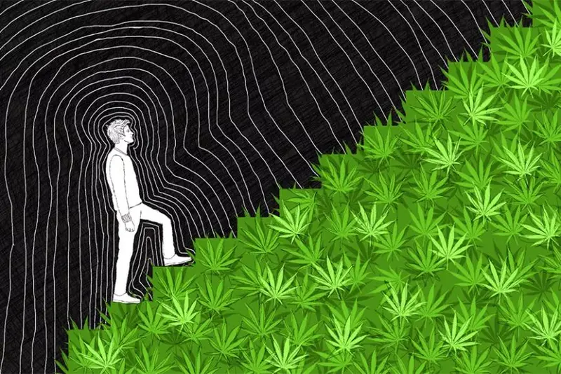 Dependencia a la marihuana