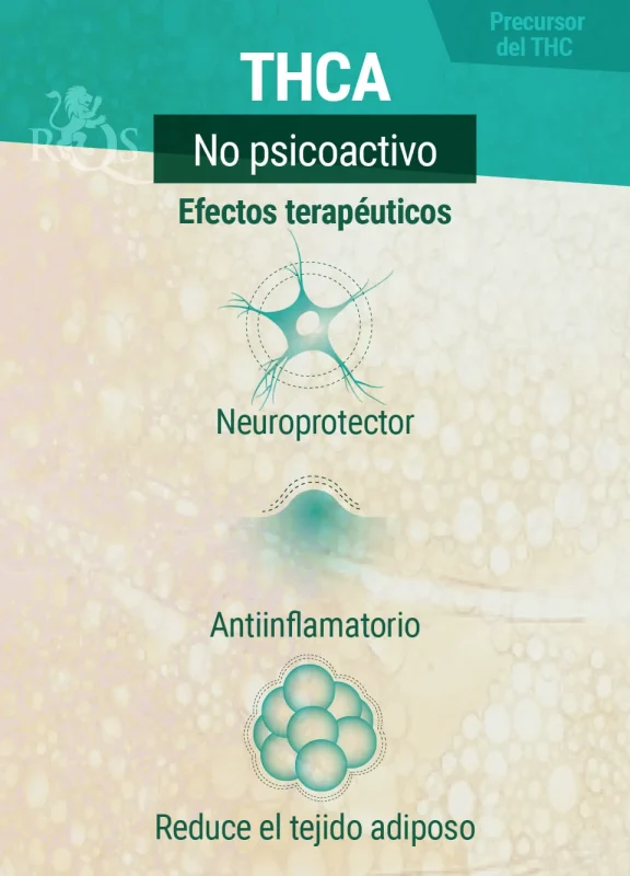 Efectos del THCA