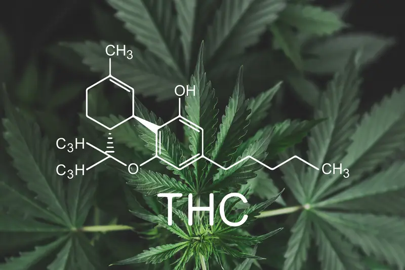 que es el THC