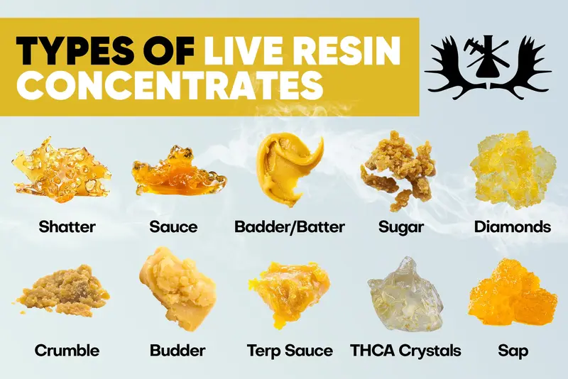 Distintos tipos de live resin