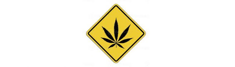 precauciones con el cannabis