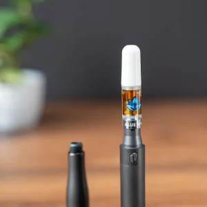 Puffco Plus Versión Actualizada 04