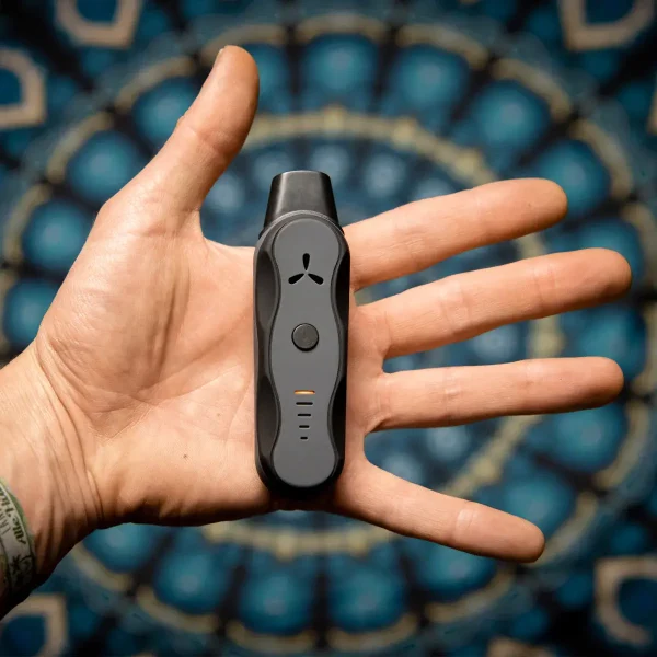 Vaporizador Herbal Airvape XS Go 4