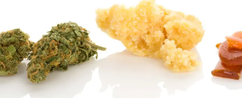 concentrados de marihuana