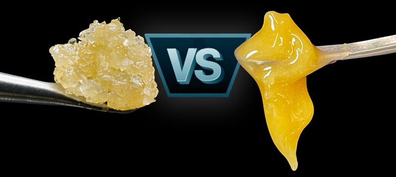 live resin vs rosin wax