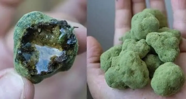 Moon rocks