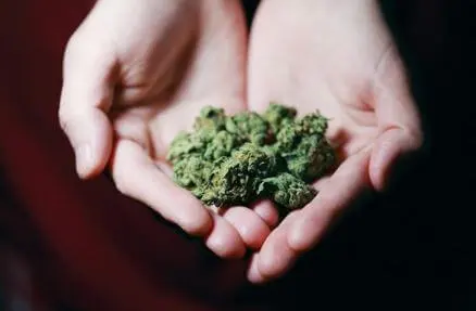 Moon Rock