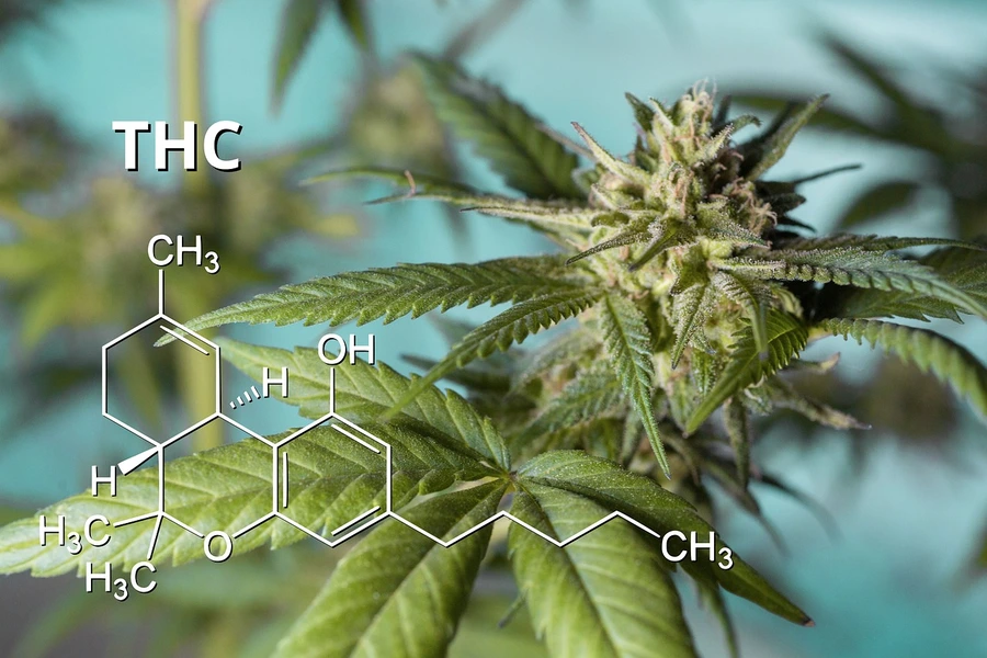 THC Formula